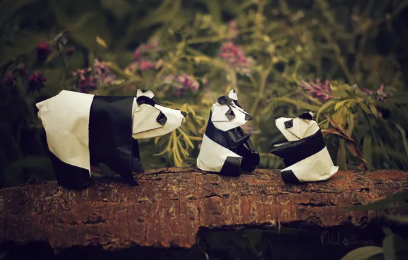 Flowers, branch, Panda, origami, Panda family
