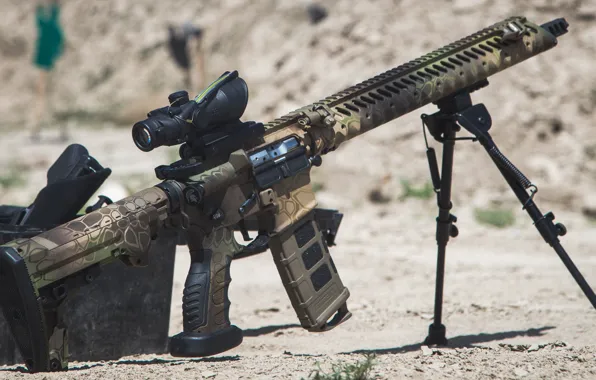 Picture weapons, carabiner, assault rifle, fry