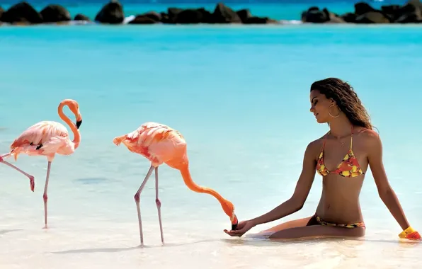 BODY, FIGURE, SWIMSUIT, BIRDS, FLAMINGO