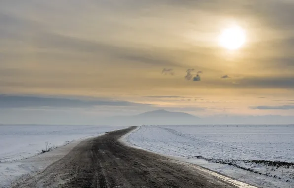 Picture winter, road, the evening