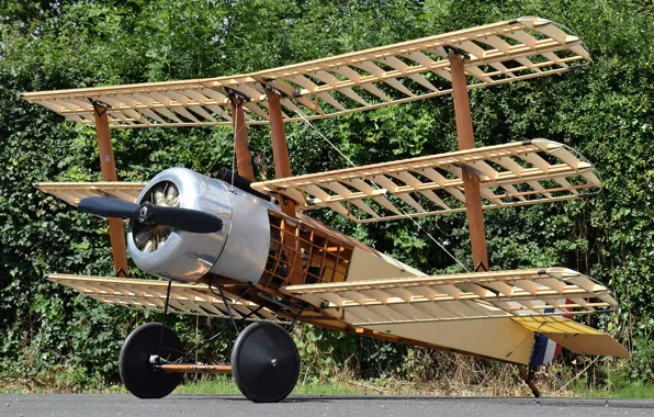 RAF, The first world war, times, fighter-Triplane, 140 Sopwith Triplane