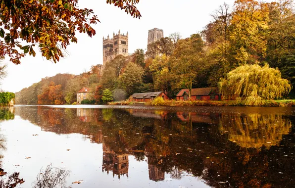 Trees, reflection, England, mirror, Durham Cathedral, The river wear, Durham