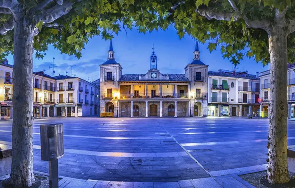 Picture trees, lights, the evening, area, Spain, town hall, El Burgo de Osma