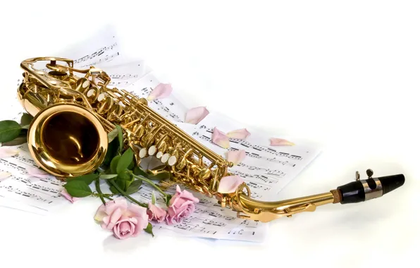 BACKGROUND, PETALS, WHITE, FLOWERS, ROSES, NOTES, SAXOPHONE