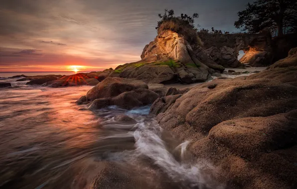 Sea, wave, beach, the sun, clouds, rays, trees, sunset