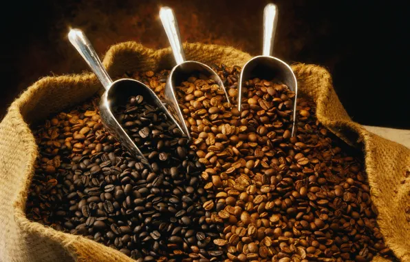 Picture coffee, grain, bag, aroma, 2122х1663