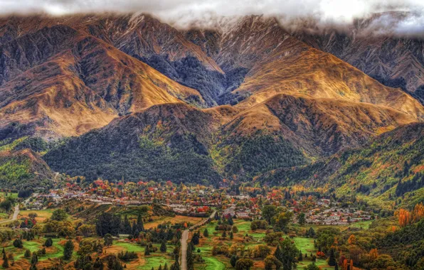 Road, forest, trees, mountains, New Zealand, town, Arrowtown.