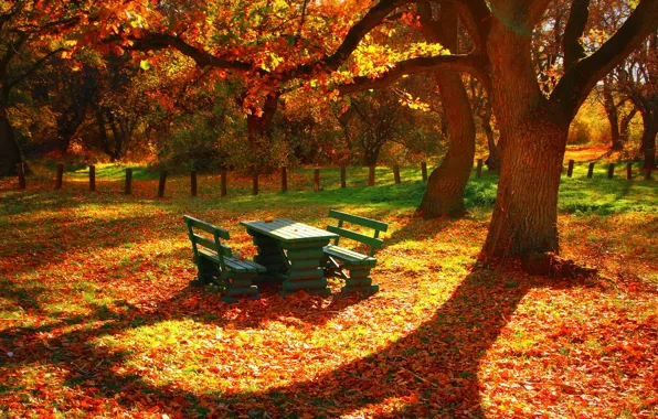 Leaves, trees, table, the fence, Autumn, benches