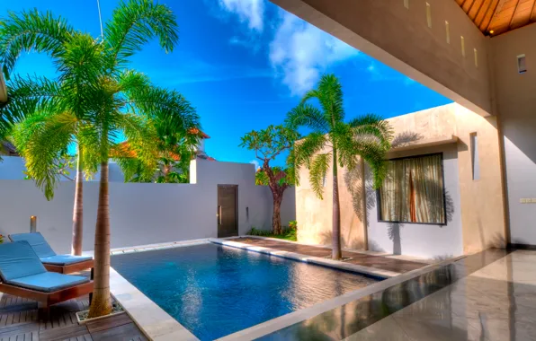 Palm trees, pool, yard, chaise