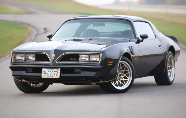 Picture Black, Pontiac, 1977, Trans