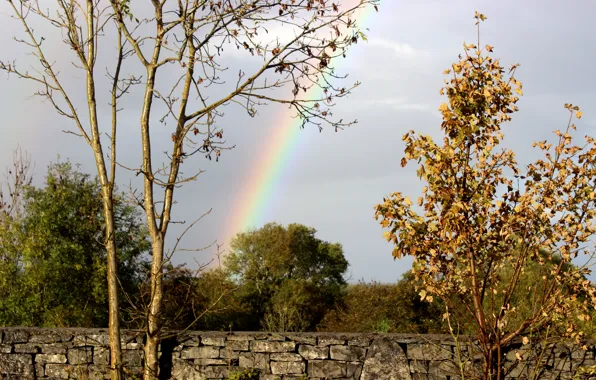 Picture the sky, trees, wall, foliage, stone, rainbow