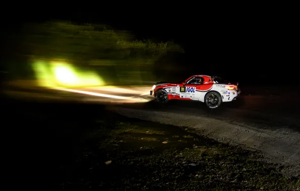 Picture light, night, rally, 2018, Abarth, 124 Rally