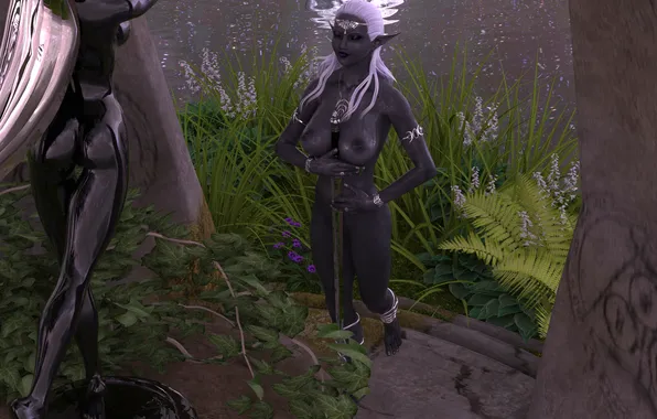Chest, elf, sword, statue, naked, aineeri