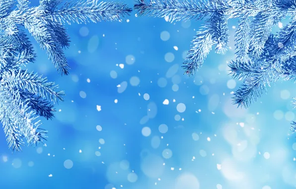 Picture winter, frost, macro, snow, herringbone