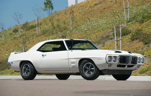 Picture white, power, 1969, Pontiac, Firebird, Trans Am