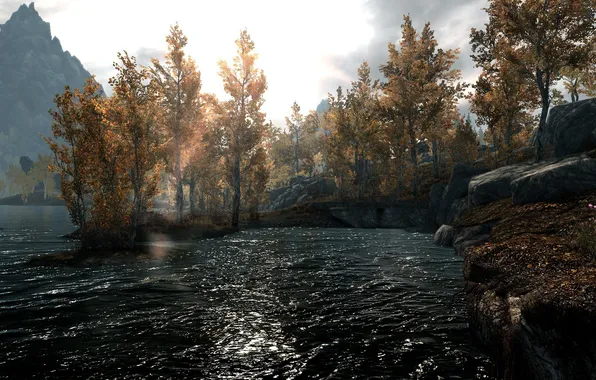 Picture grass, water, trees, landscape, flowers, mountains, nature, The Elder Scrolls V Skyrim
