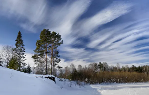 Picture winter, the sky, snow, trees, landscape