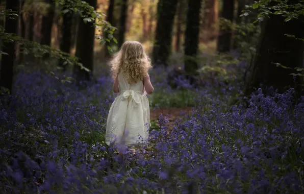 Picture forest, flowers, girl, bells, curls