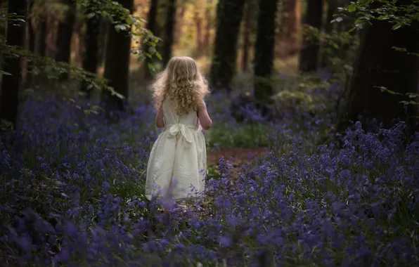 Forest, flowers, girl, bells, curls