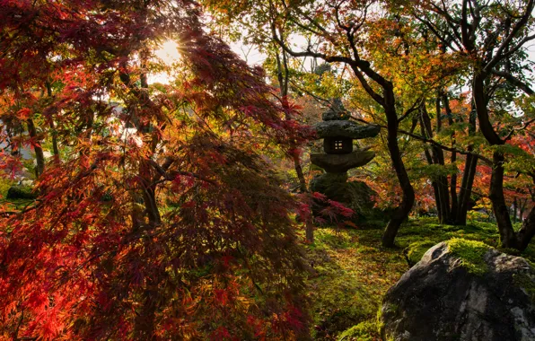 Picture Park, rays, landscape, nature, garden, Japan, the sun, lantern