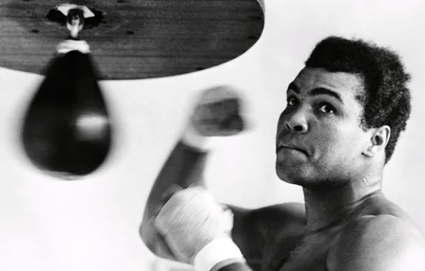 Black and white, legend, Muhammad Ali, boxer, Cassius Clay