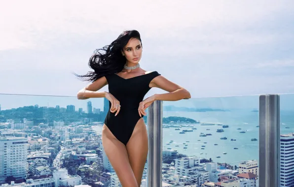 Roof, sea, glass, the sun, decoration, the city, pose, model