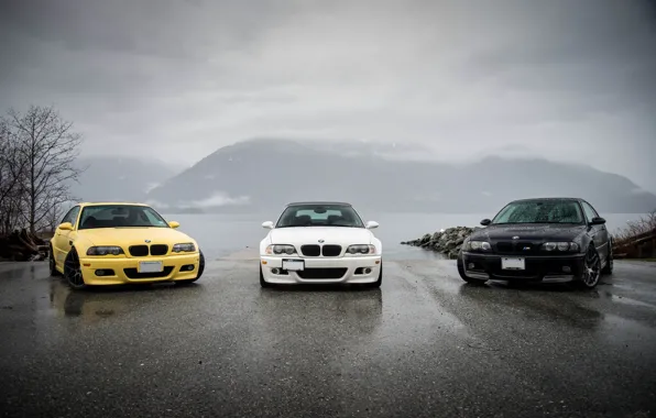 Picture white, reflection, yellow, black, bmw, shadow, BMW, white