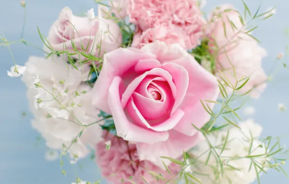 Flowers, pink, rose, color, bouquet, light, rose, pink