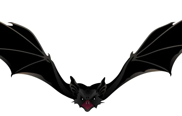 Background, wings, bat
