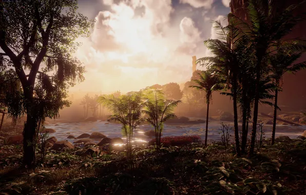 Landscape, river, jungle, exclusive, Playstation 4, Guerrilla Games, Horizon Zero Dawn