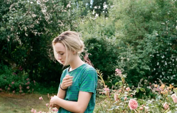 Picture Daisy, How I Live Now, How I live now