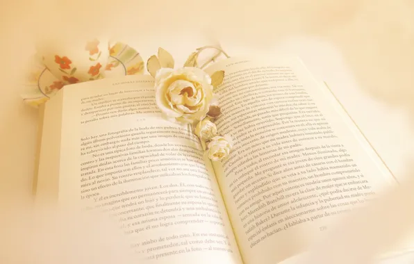 Flowers, background, book