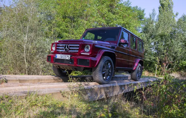 Mercedes-Benz, SUV, logs, G500, G-Class, 2015, G 500, V8 Biturbo