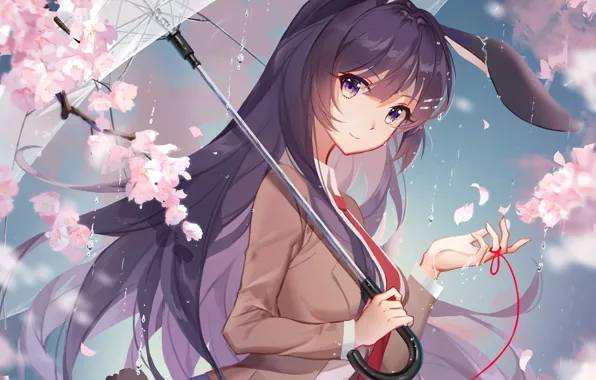 Girl, flowers, rain, umbrella, Sakura, Seishun Yarou wa bunny girl Senpai no Yu Thigh