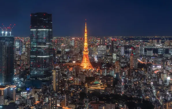 Night, the city, Tokyo