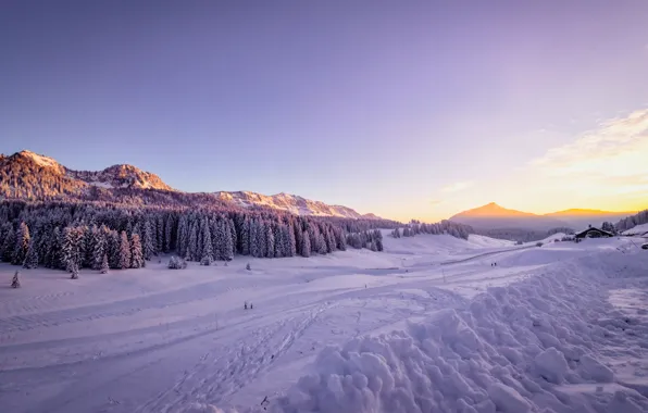 Picture Winter, Snow, Sunrise, Forest, Covered, Arctic Circle