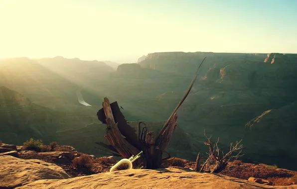River, tree, desert, canyon, dry
