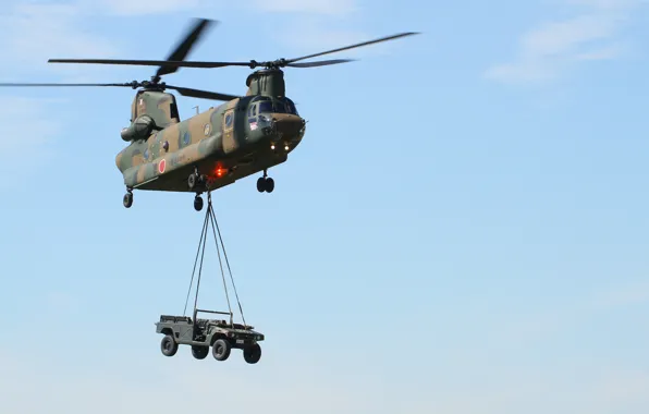 Machine, the sky, flight, helicopter, transport, military, shipping, CH-47F