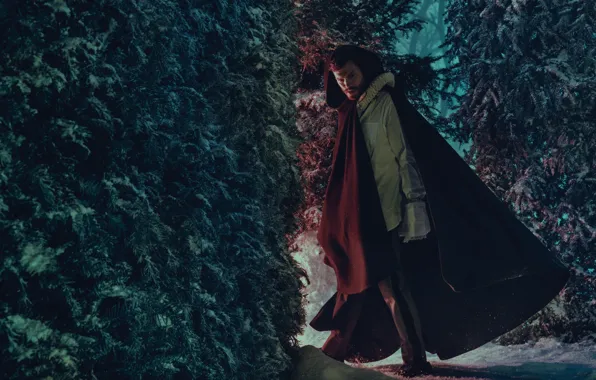 Picture winter, forest, snow, trees, photoshoot, Jamie Dornan, Jamie Dornan, Norman Jean Roy