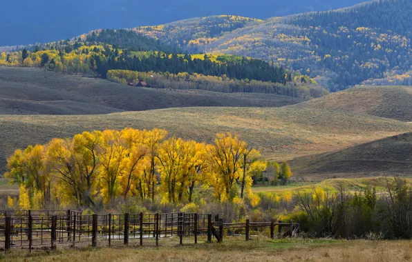 Autumn, forest, trees, landscape, mountains, hills, haze, Golden autumn