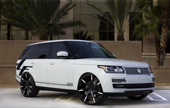 Picture tuning, Range Rover, British, HSE