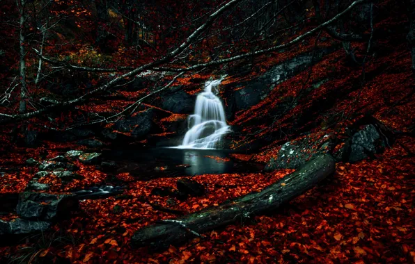 Autumn, nature, river