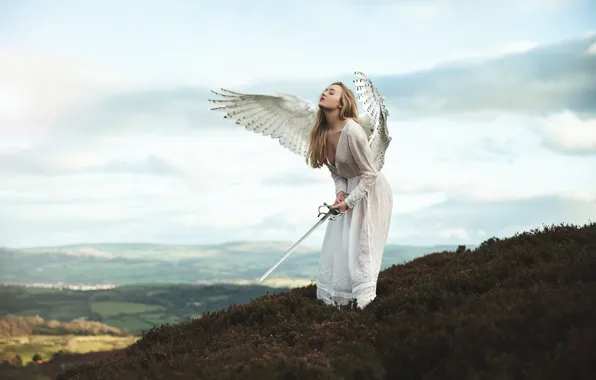 Picture chest, the sky, girl, clouds, mountains, pose, weapons, fantasy, mood, height, wings, the situation, angel, …