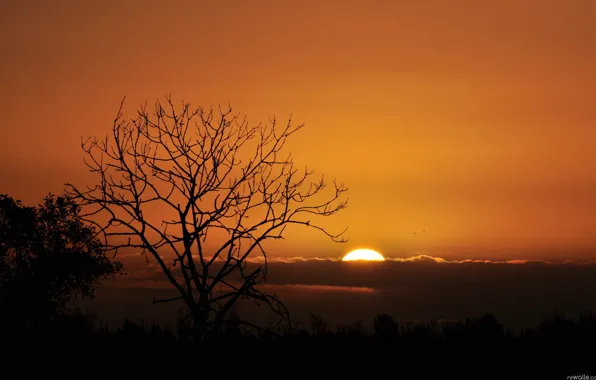 Nature, sunset, cloud