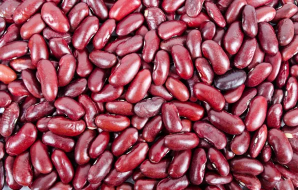 Beans, cereals, agriculture