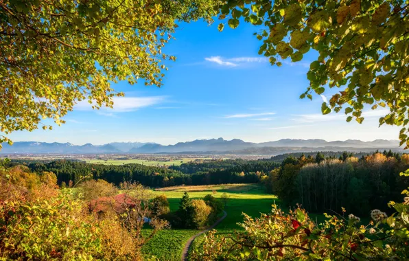 Autumn, trees, valley