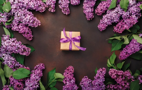Picture flowers, background, gift, lilac