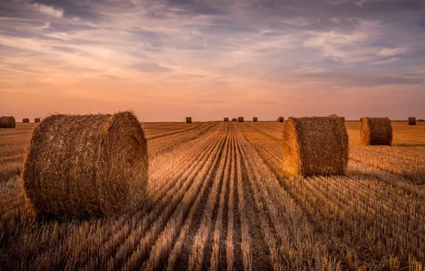 Picture field, rolls, harvesting, the stubble, stubble