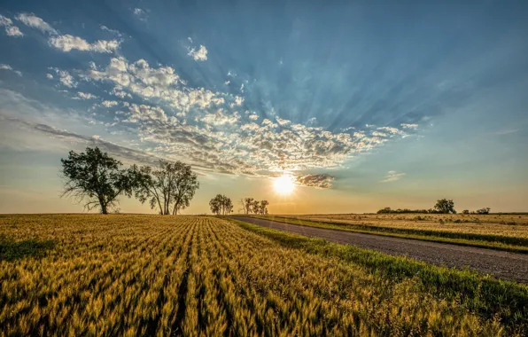 Road, field, the sky, the sun, clouds, trees, sunset, North Dakota