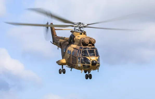 The sky, helicopter, coloring, Puma
